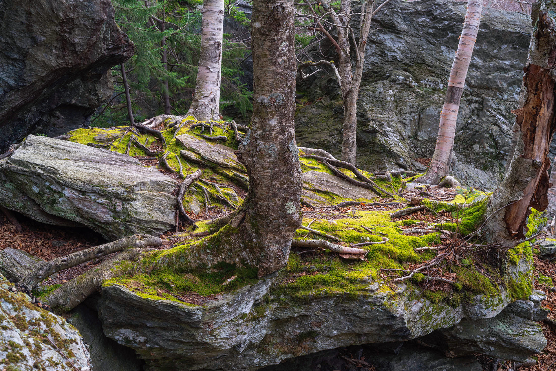 Smuggler Notch Danger