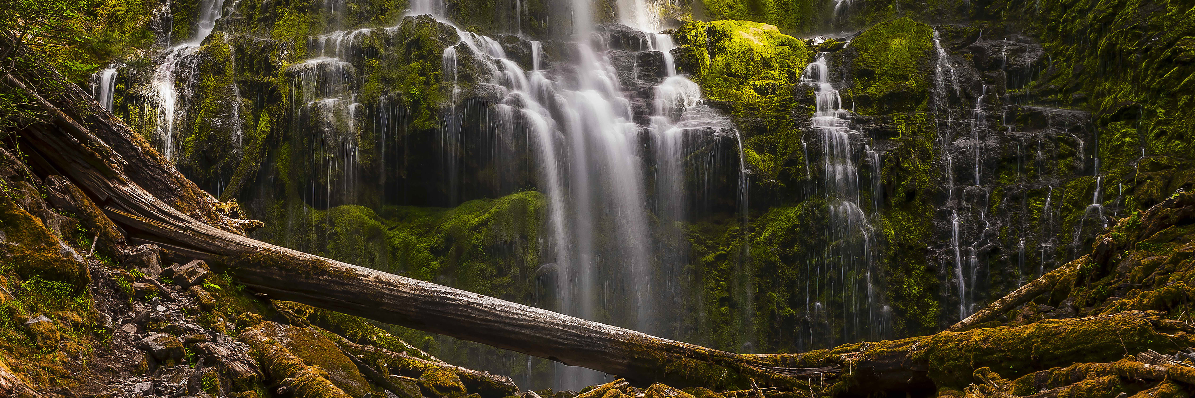 Proxy Falls, OR