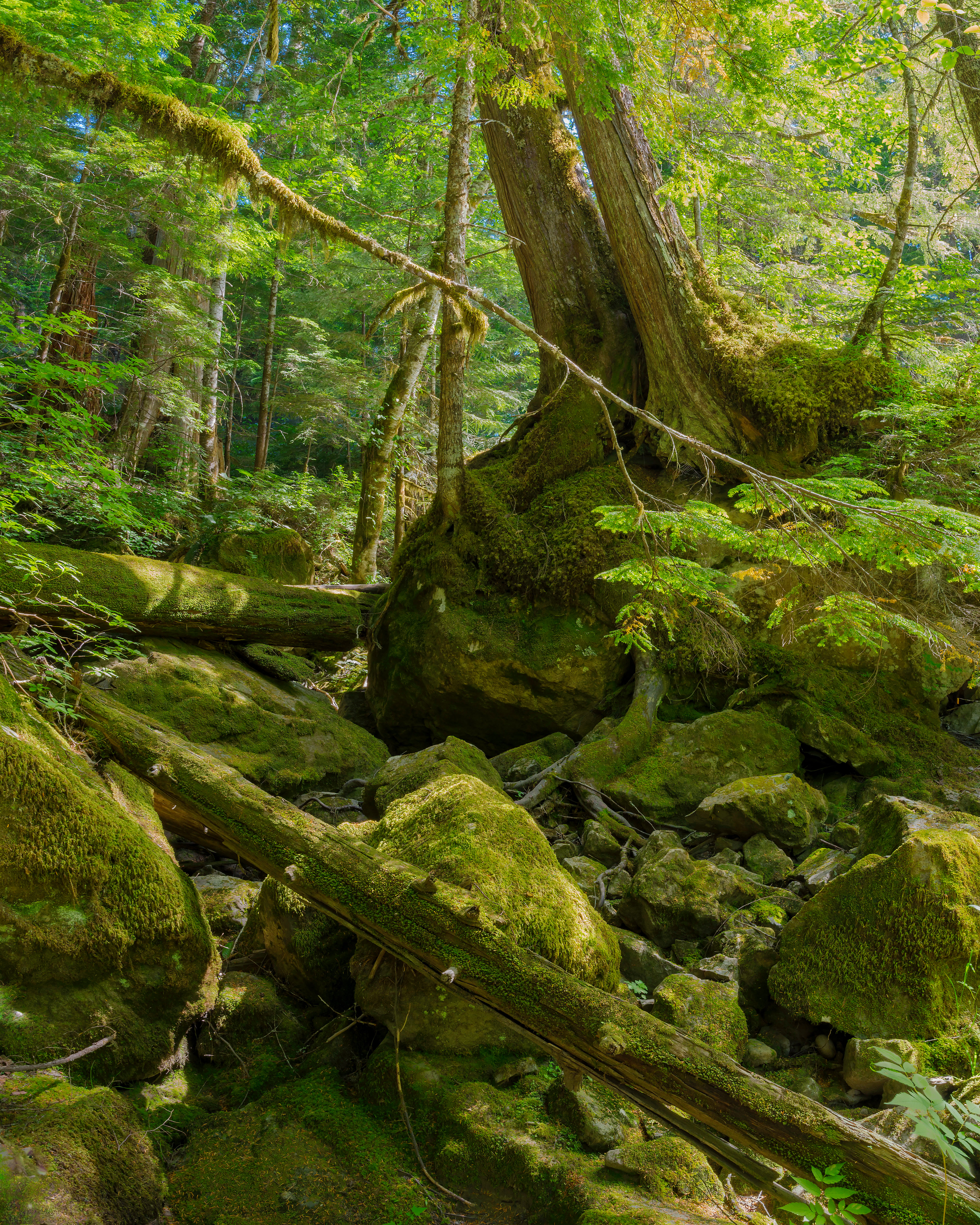S Fork Sauk River, WA
