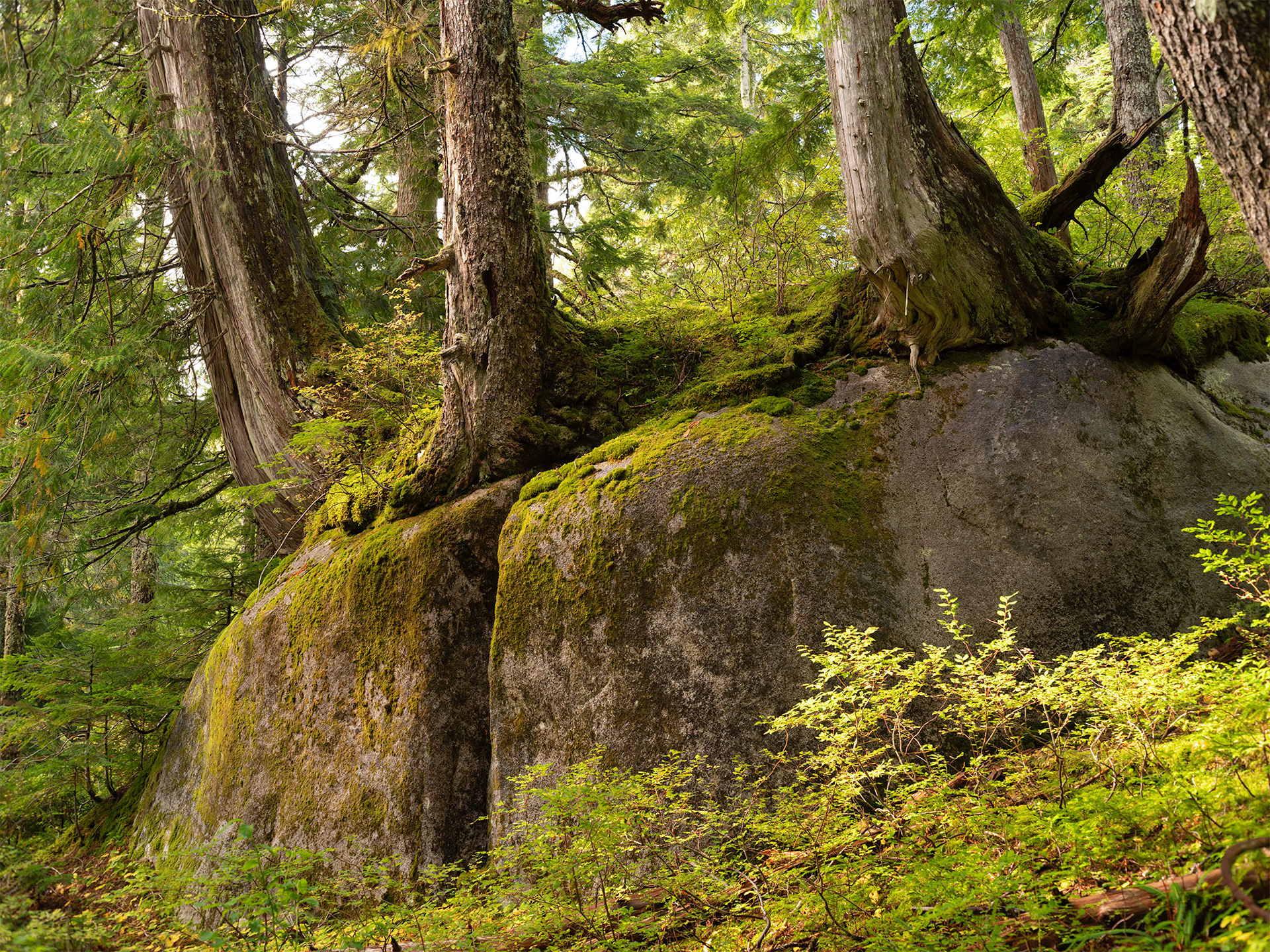 Ashland Lake Trail, WA