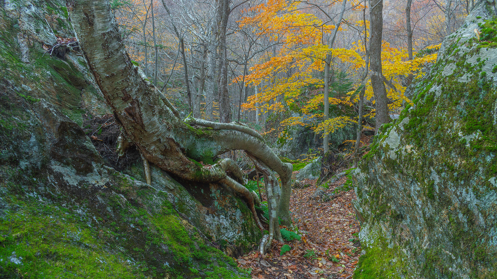 Smuggler Notch Danger