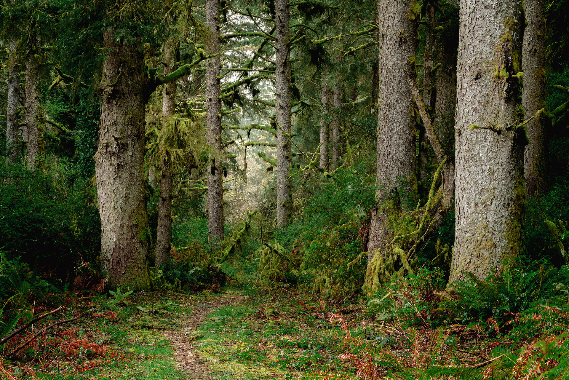 Fort Stevens, OR