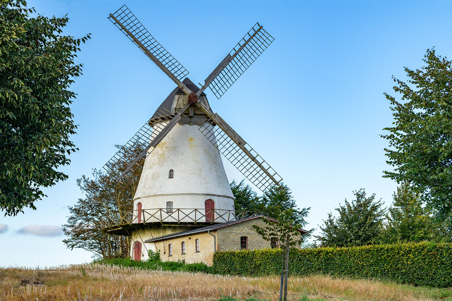 Windmill near Sonderborg