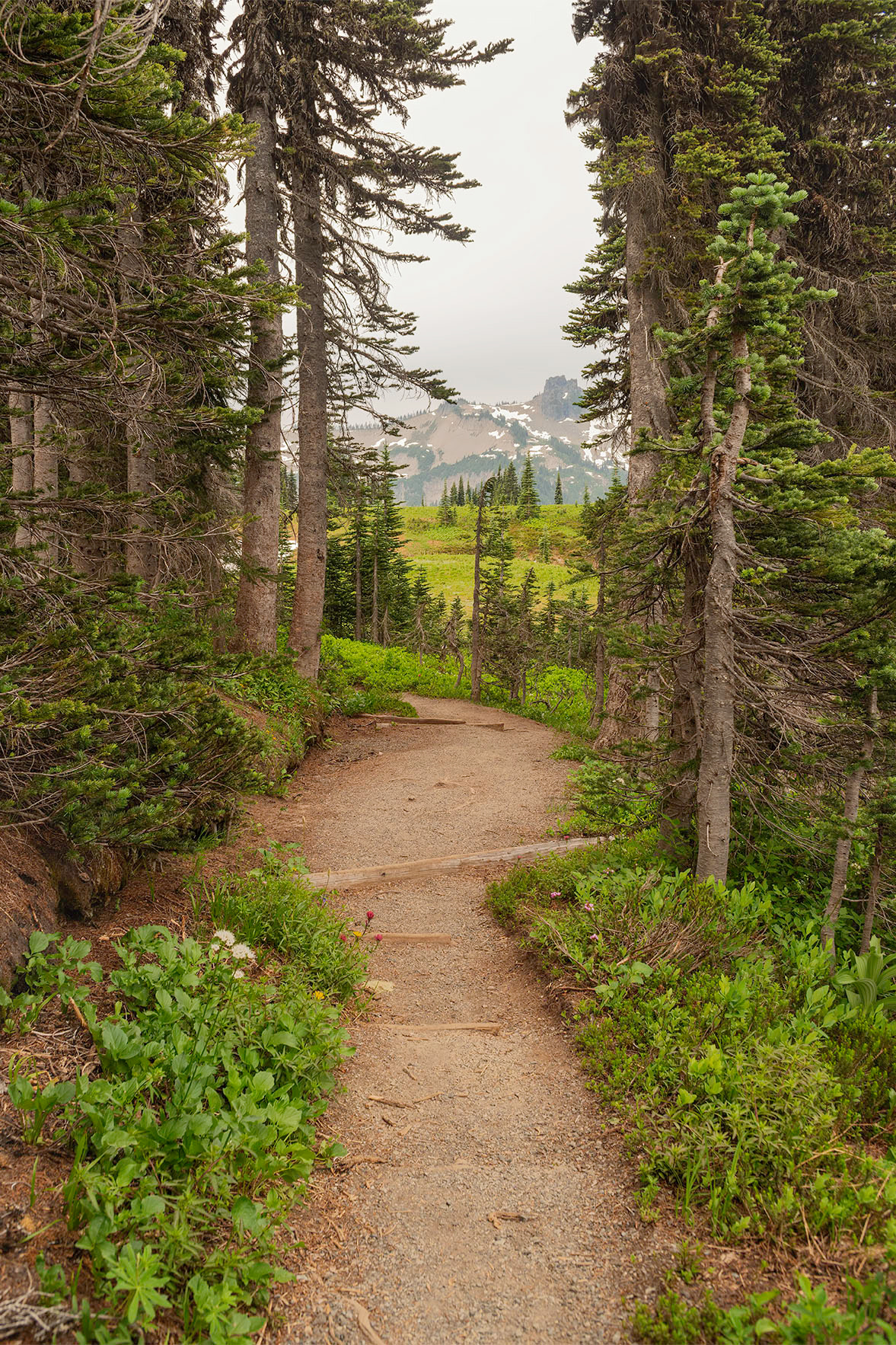 Mt. Rainer, Lakes Trail