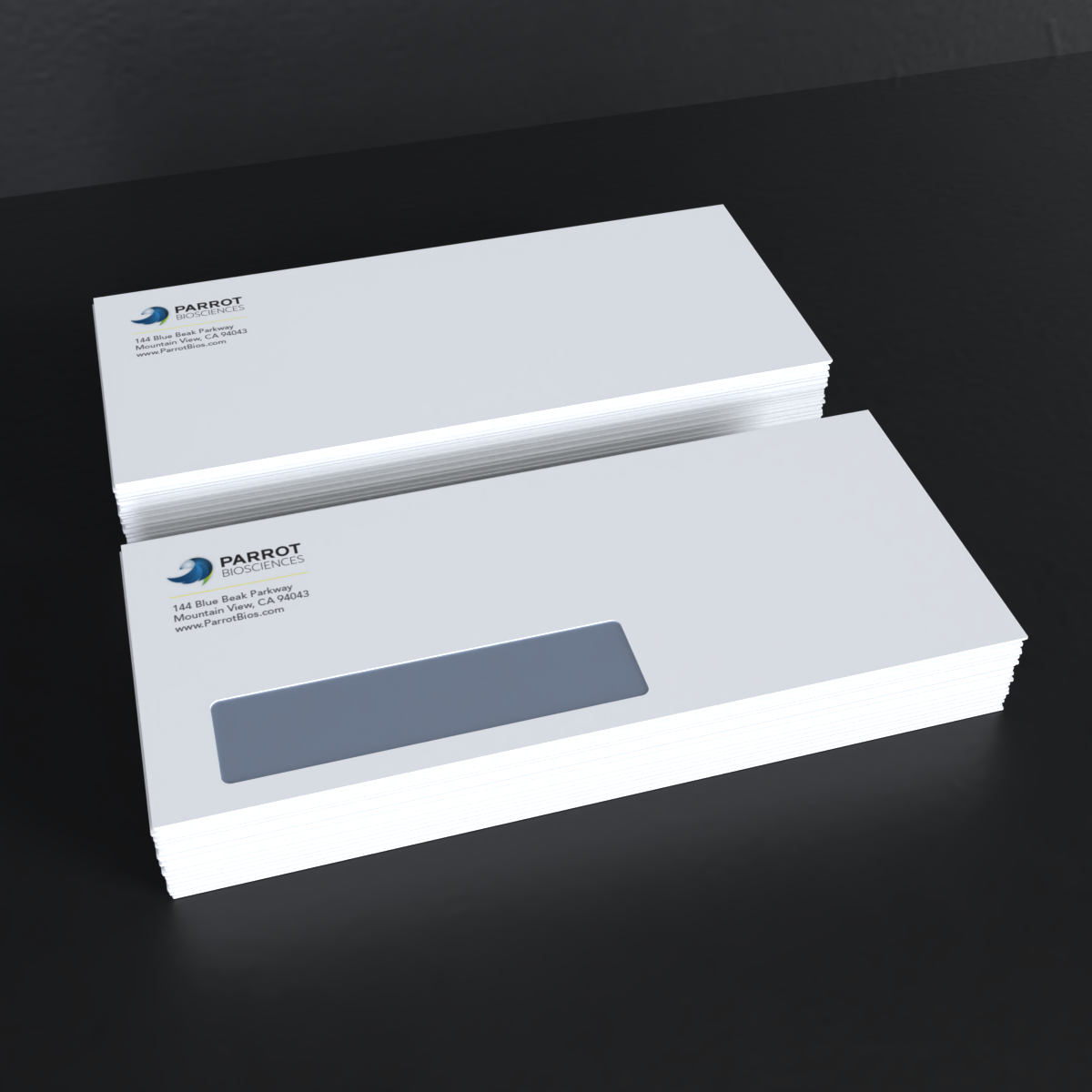 #10 Envelopes