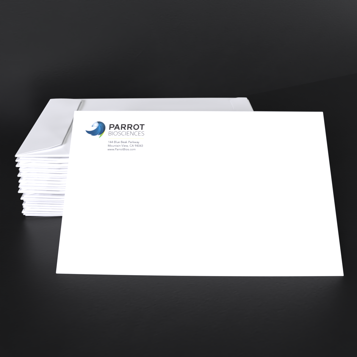10x13 Envelopes