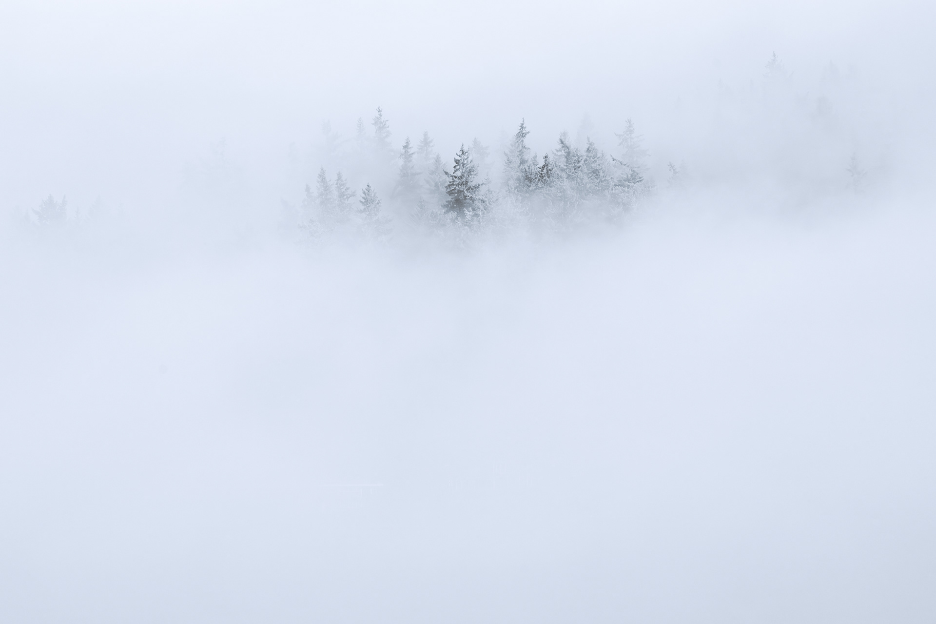 ExposureOneAwards: Honorable Mention