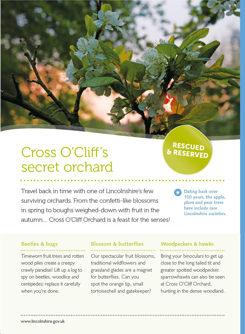 Nature Reserve Leaflet (Design Root Studio)