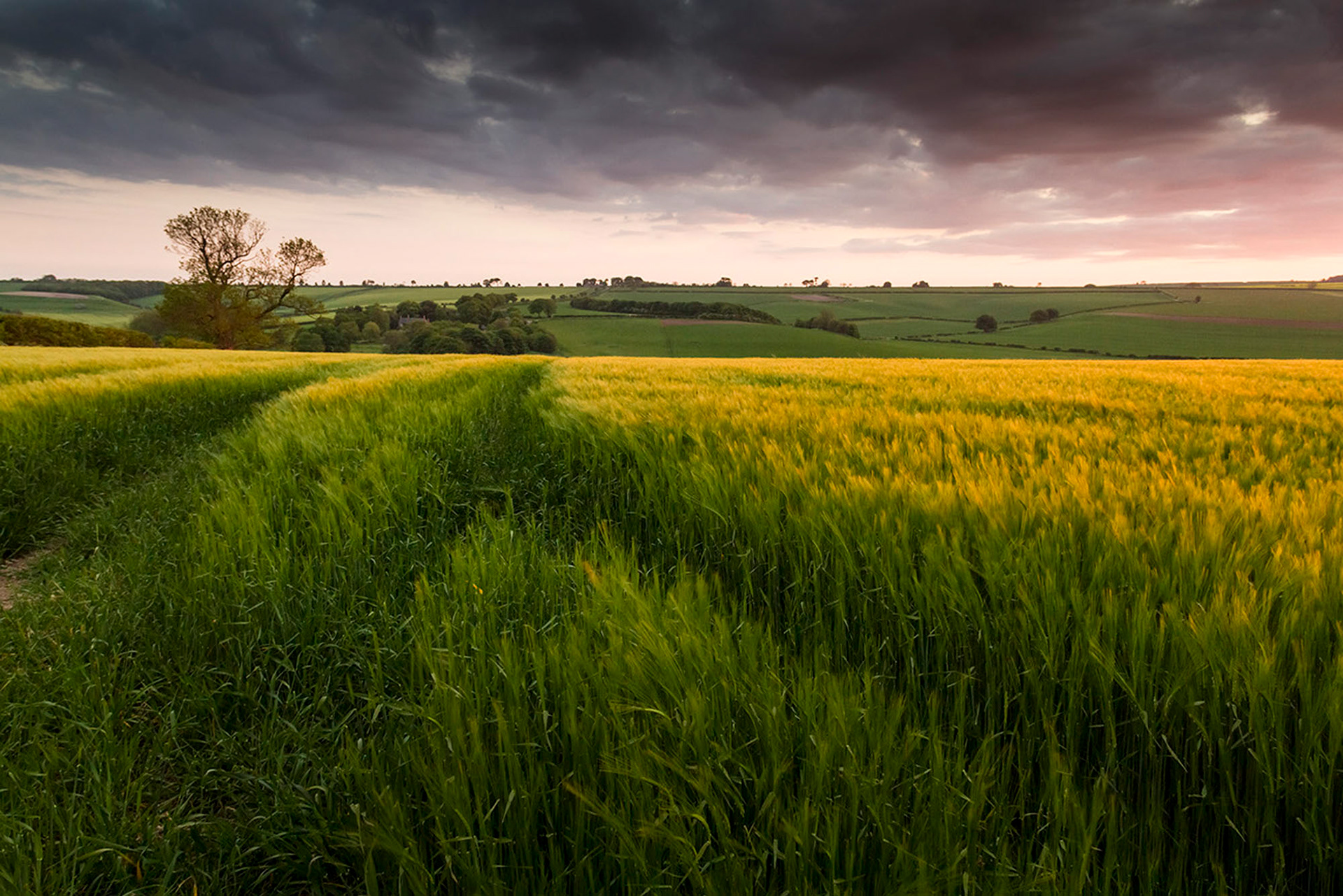 Lincolnshire Wolds Sunset by Ashley Taylor