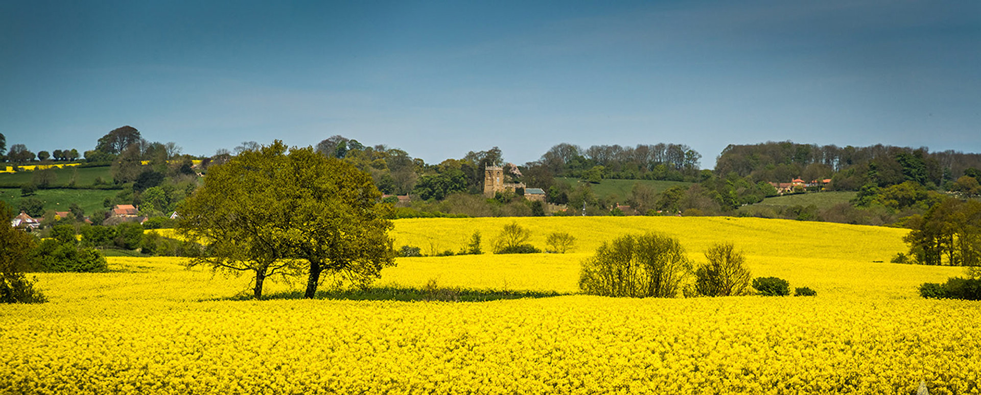 Lincolnshire Wolds by Ashley Taylor