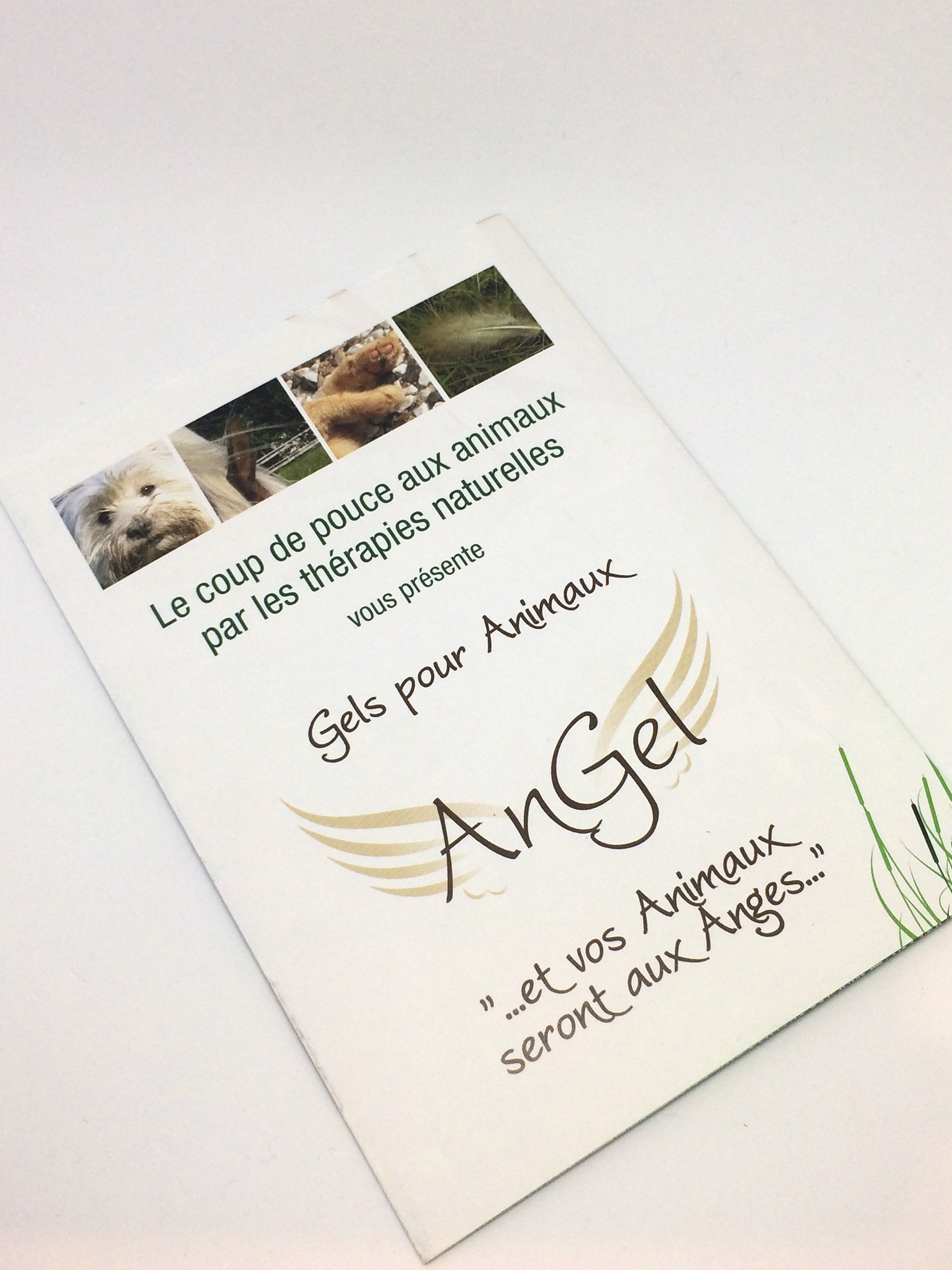 Dépliant Angel