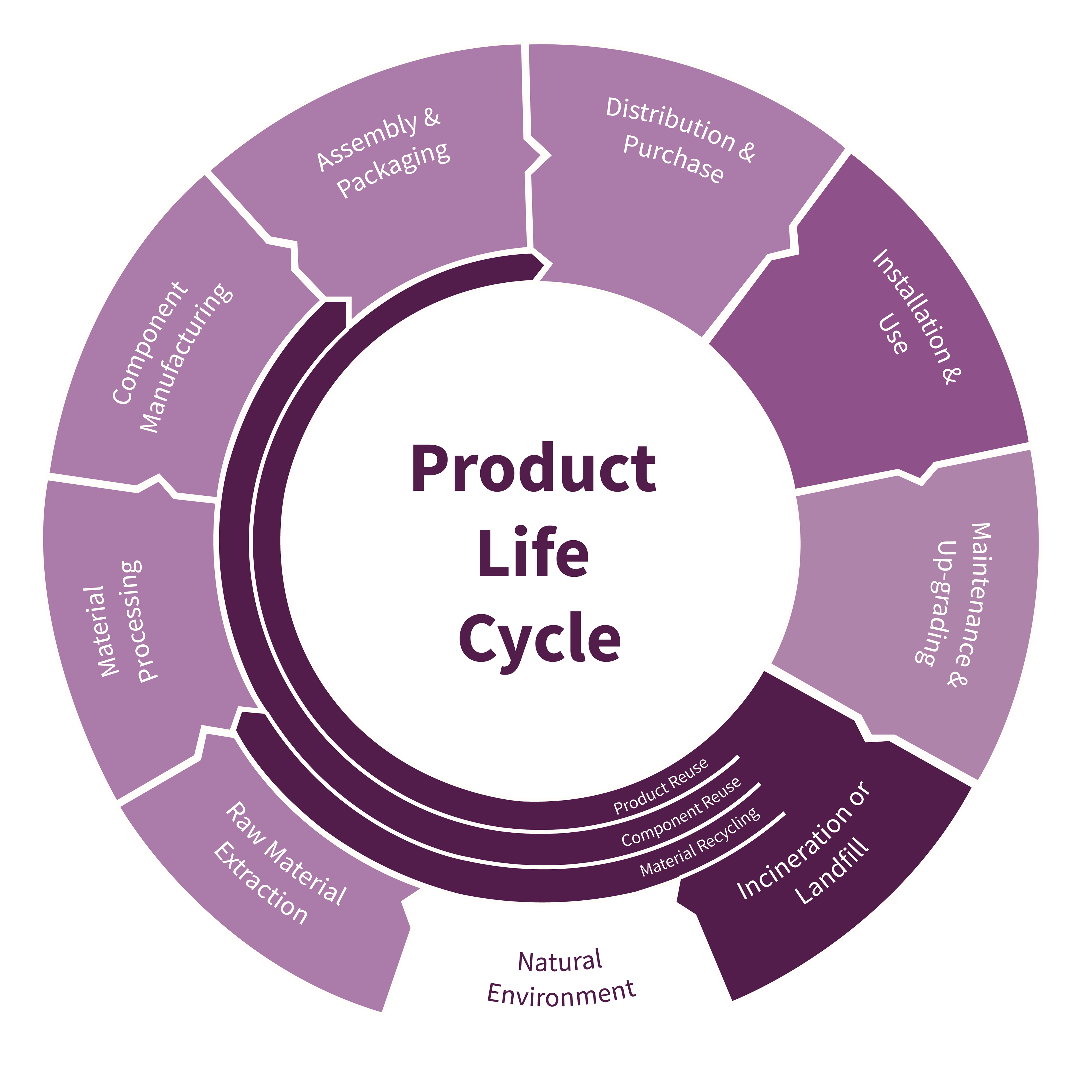Product Life Cycle