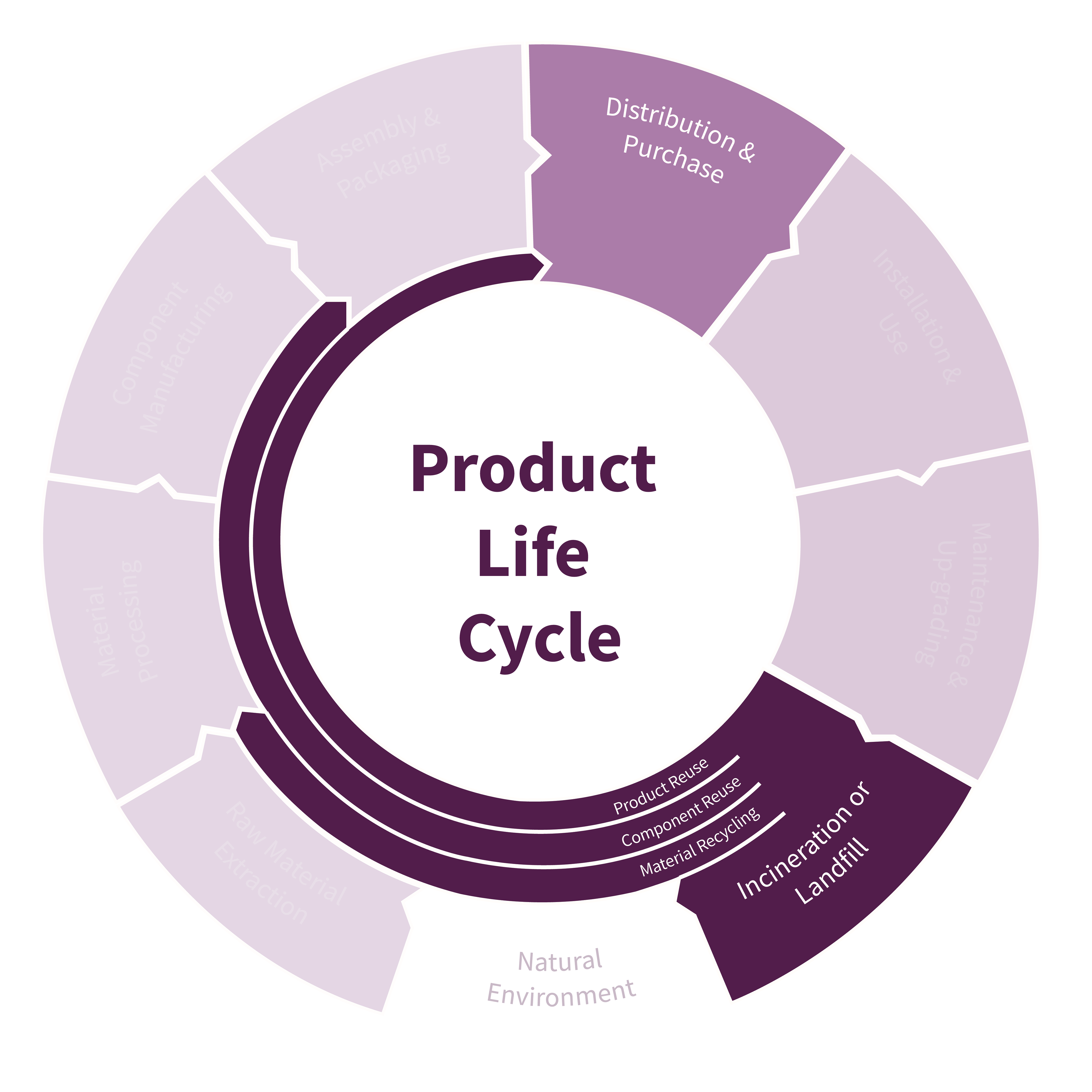 Product Life Cycle - Areas for Focus