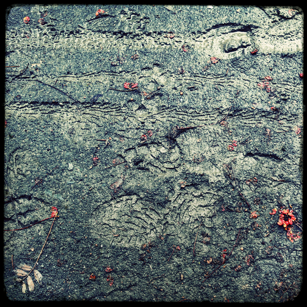 14 - Traces