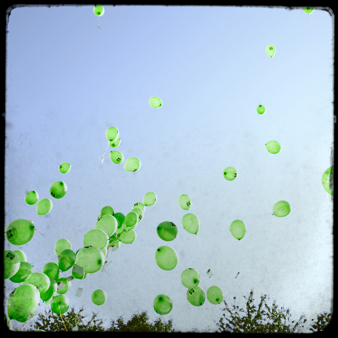 26 - Ballons verts
