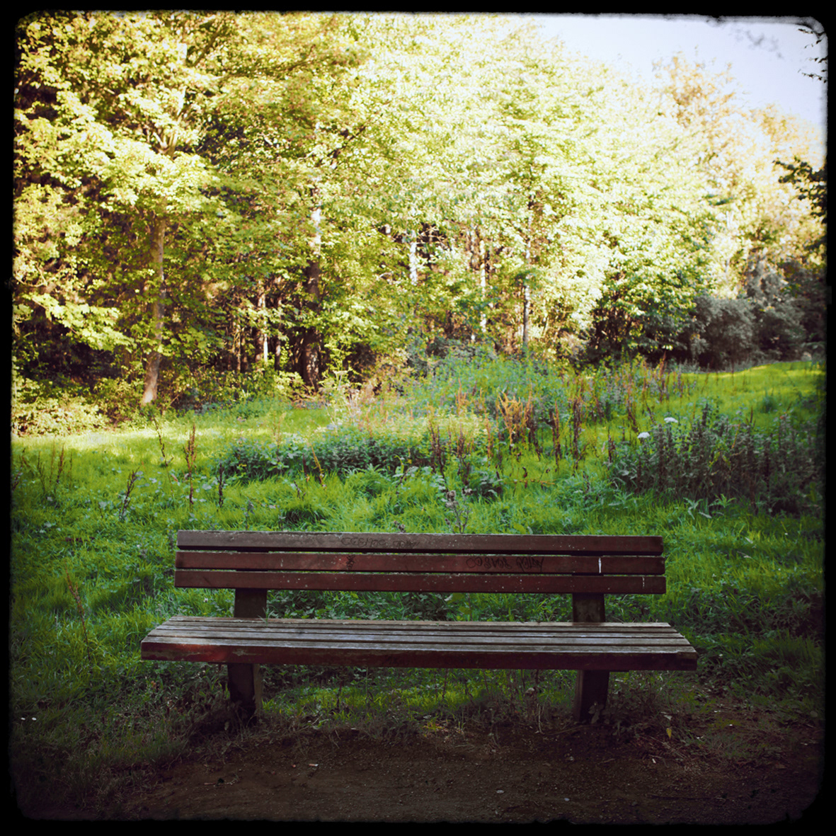 03 - Le banc au mégot