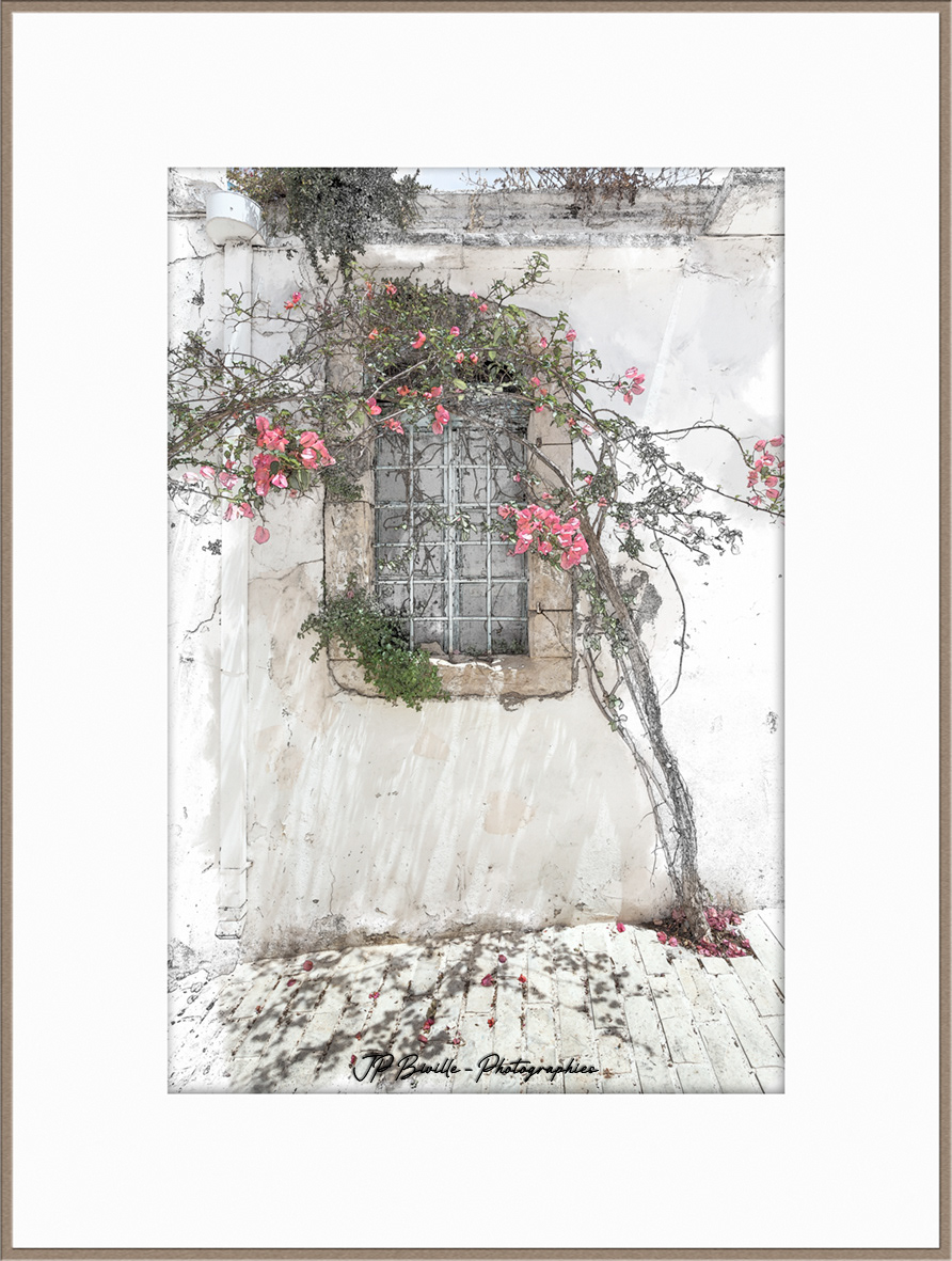Volet et bougainvillée - Margarites, Crète