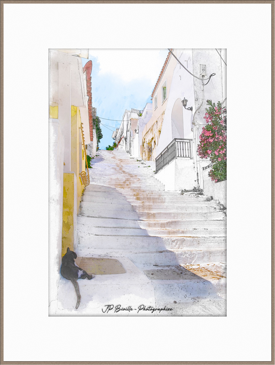 Le chat - Chora, Andros
