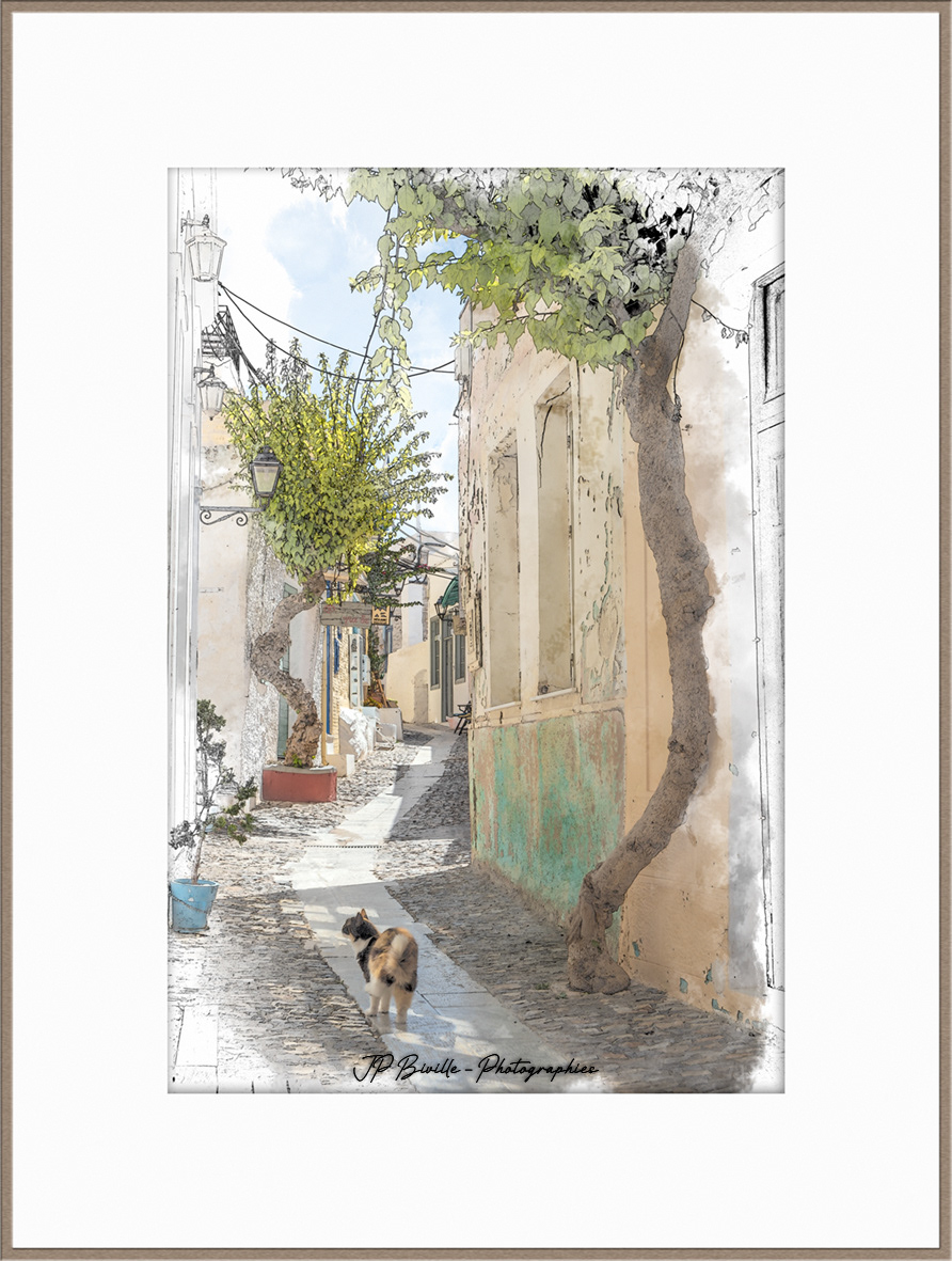 Le chat (Rembeti-cat) - Ano Syro, Syros
