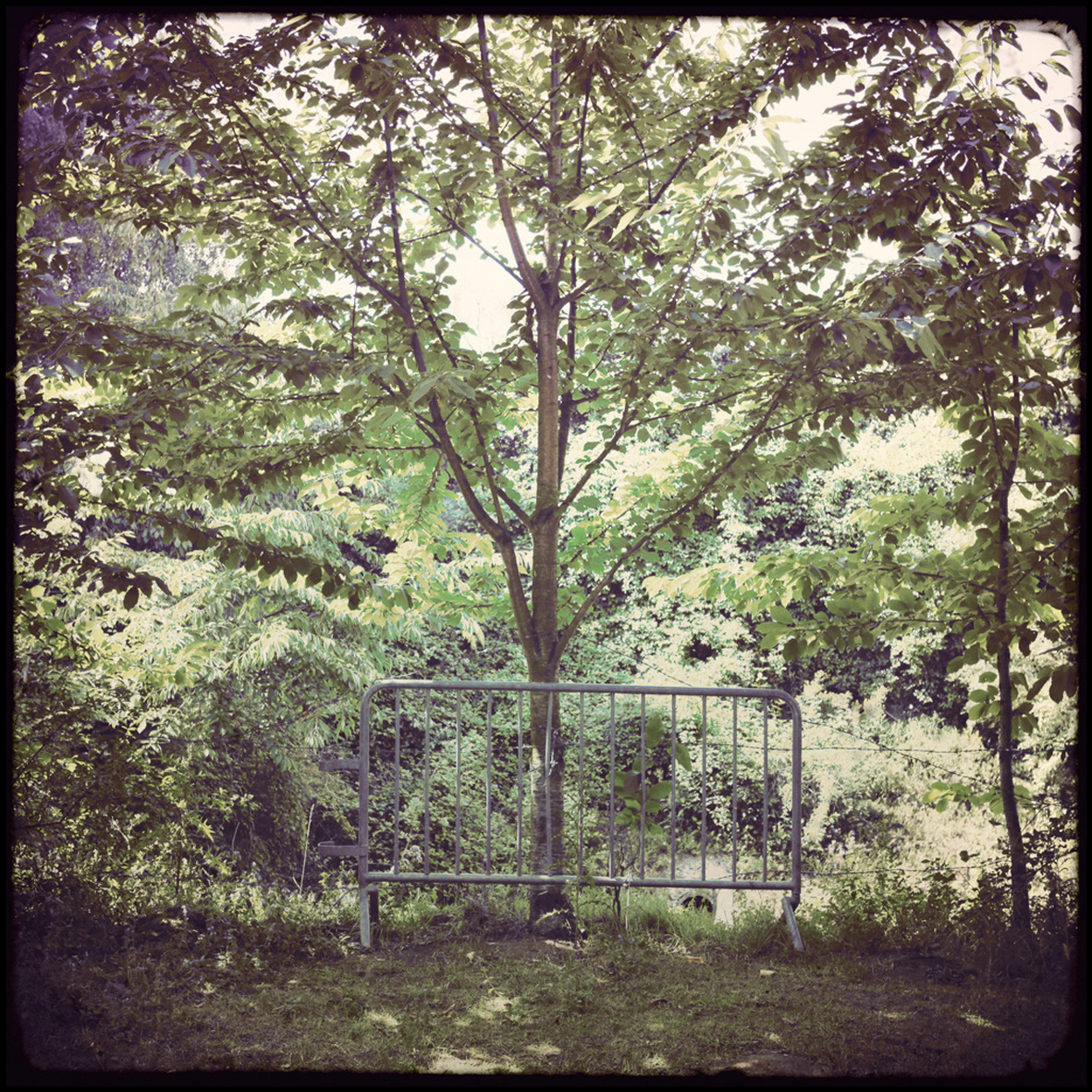 08 - La barrière