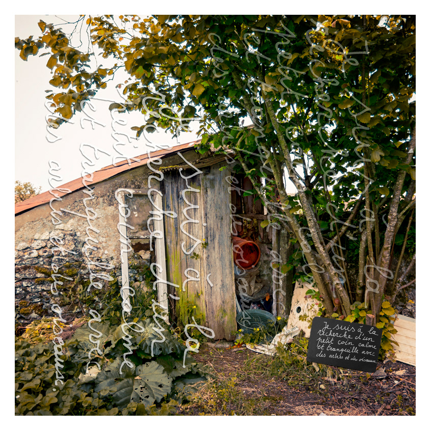 01 La cabane