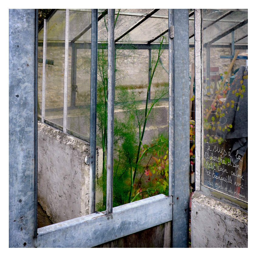 03 La serre 1