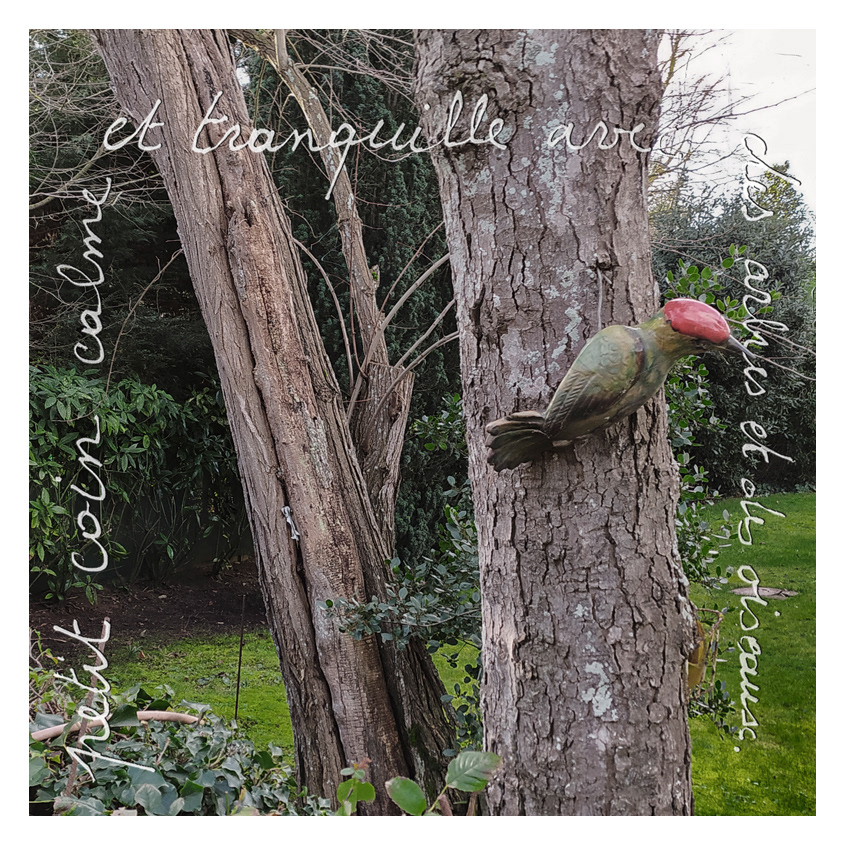 08 Arbres oiseaux