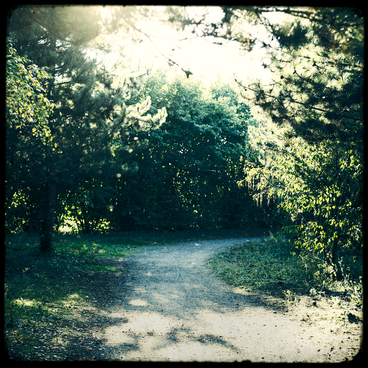 01 - Soleil d'été