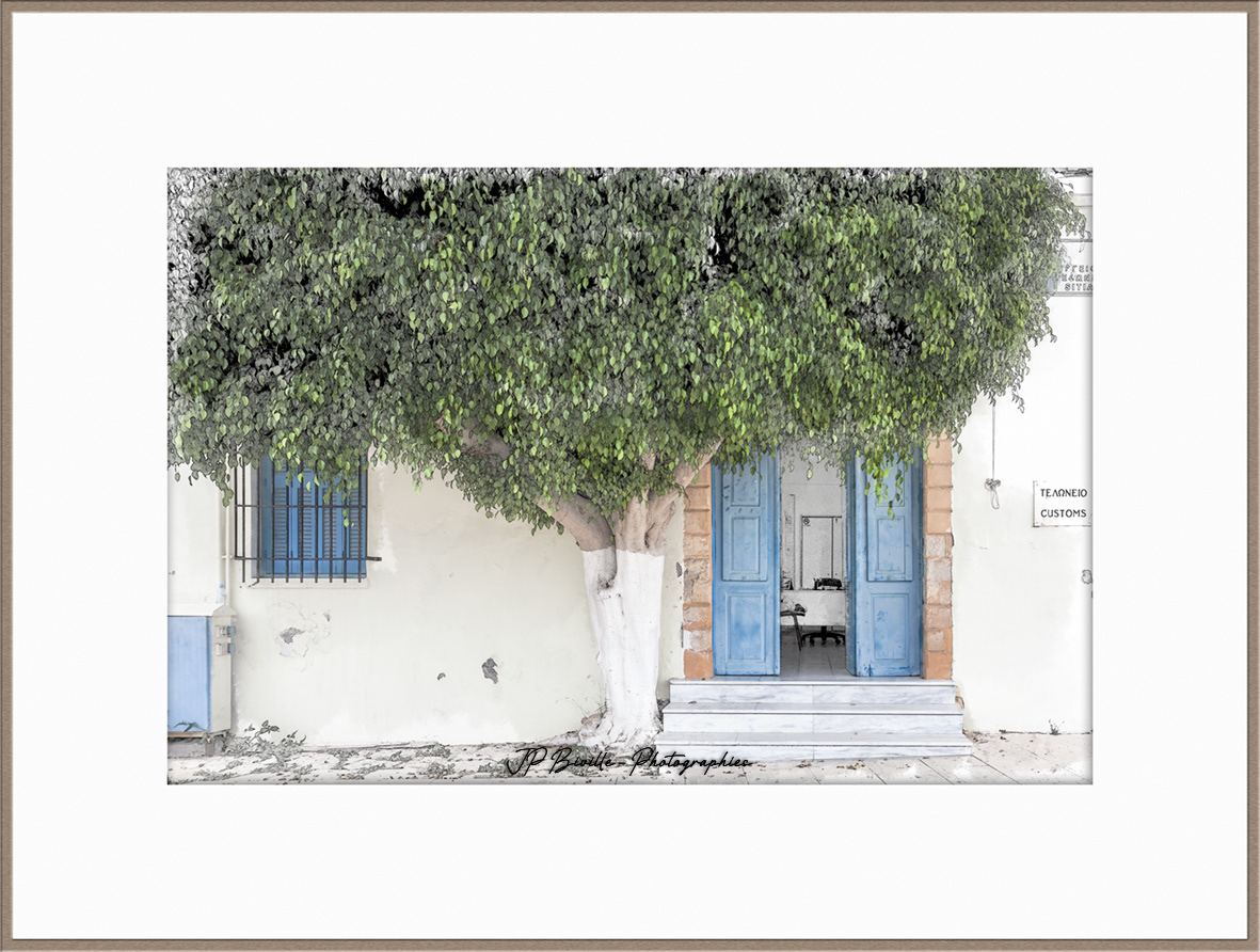 Ficus - Sitia, Crète