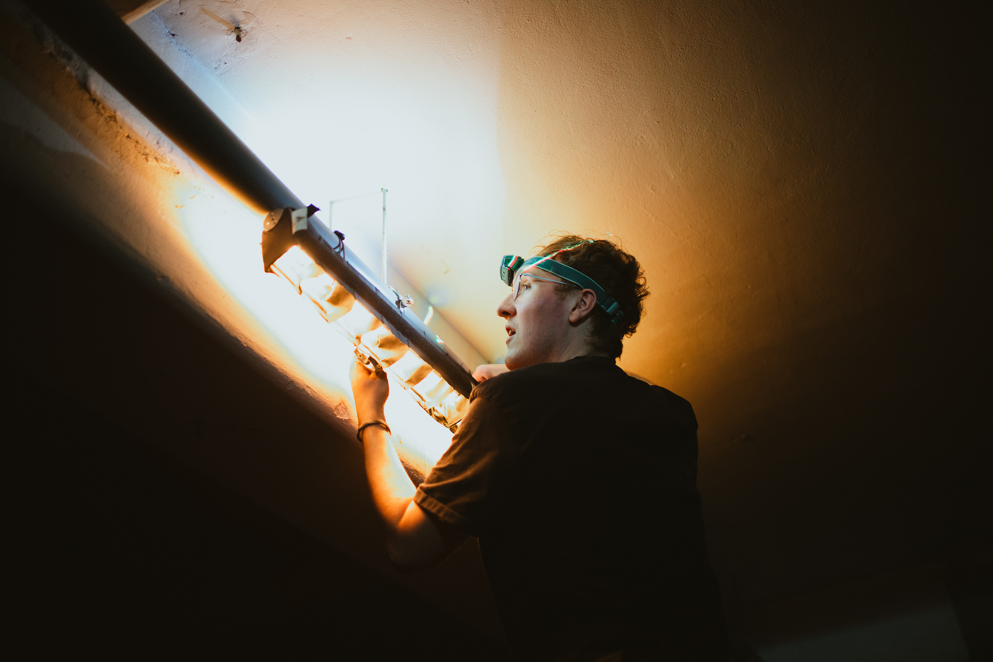 Flowers on Concrete, 2024