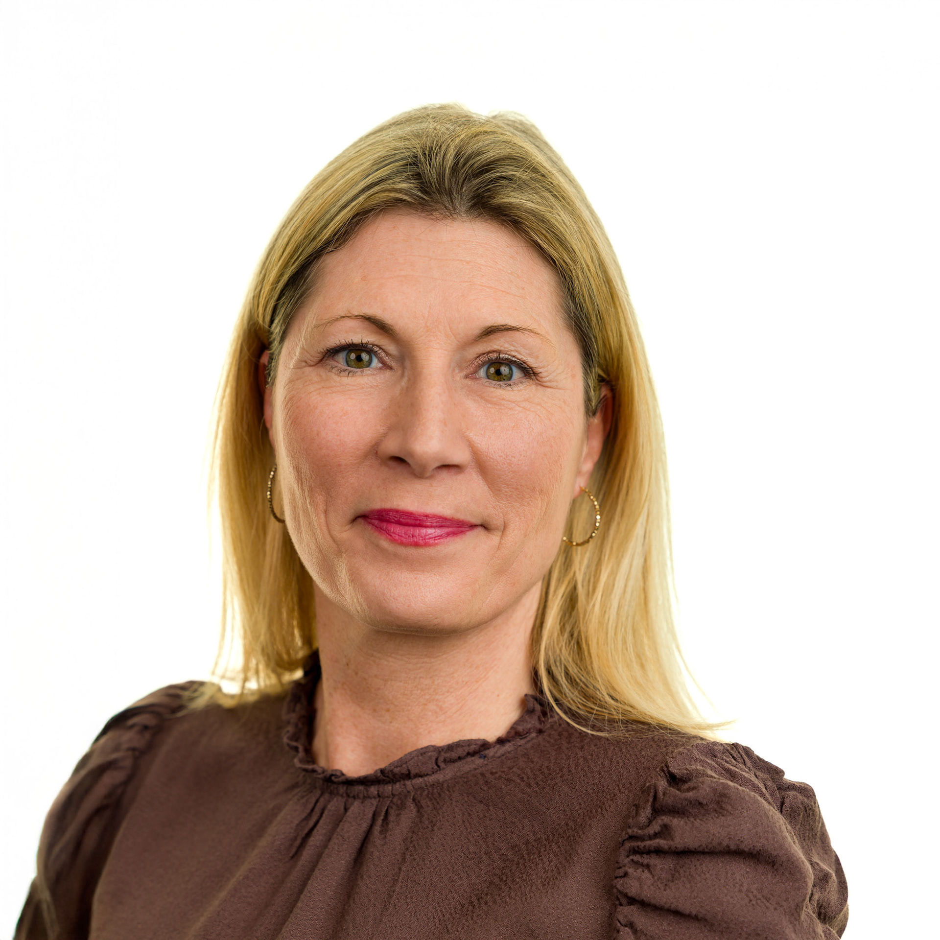 CV & LinkedIn, Dina