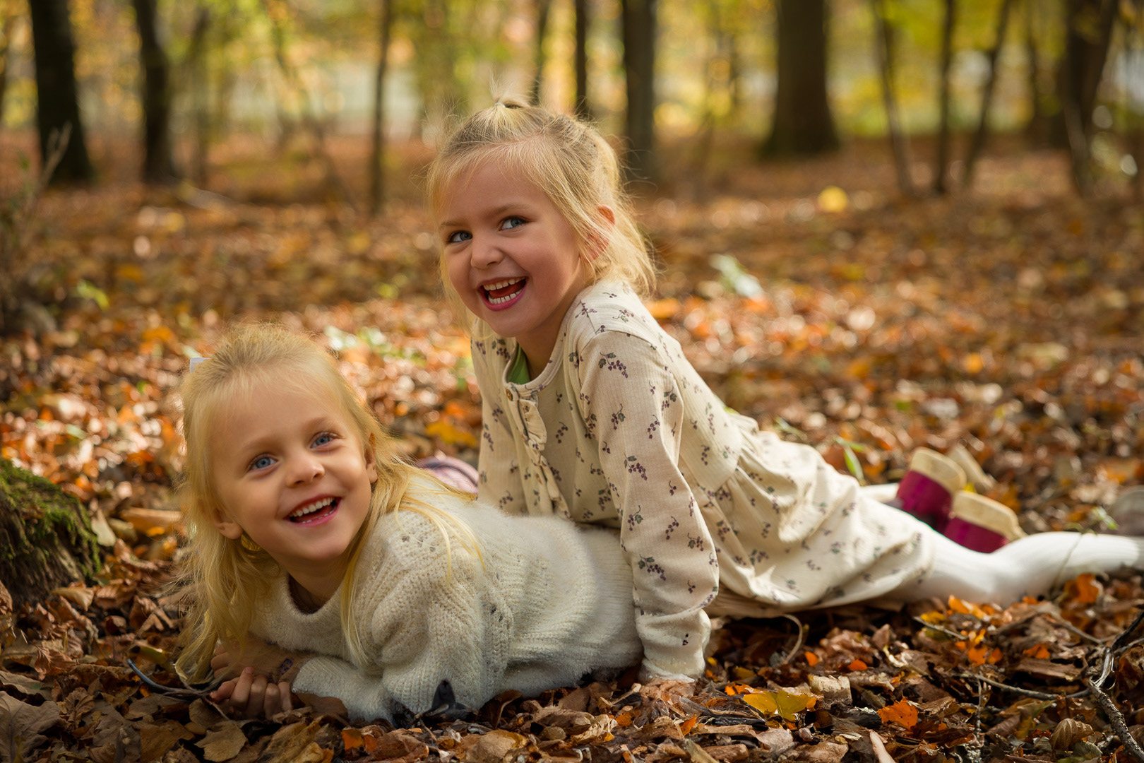 Udendørsfotografering i Oktober, Boserup Skov