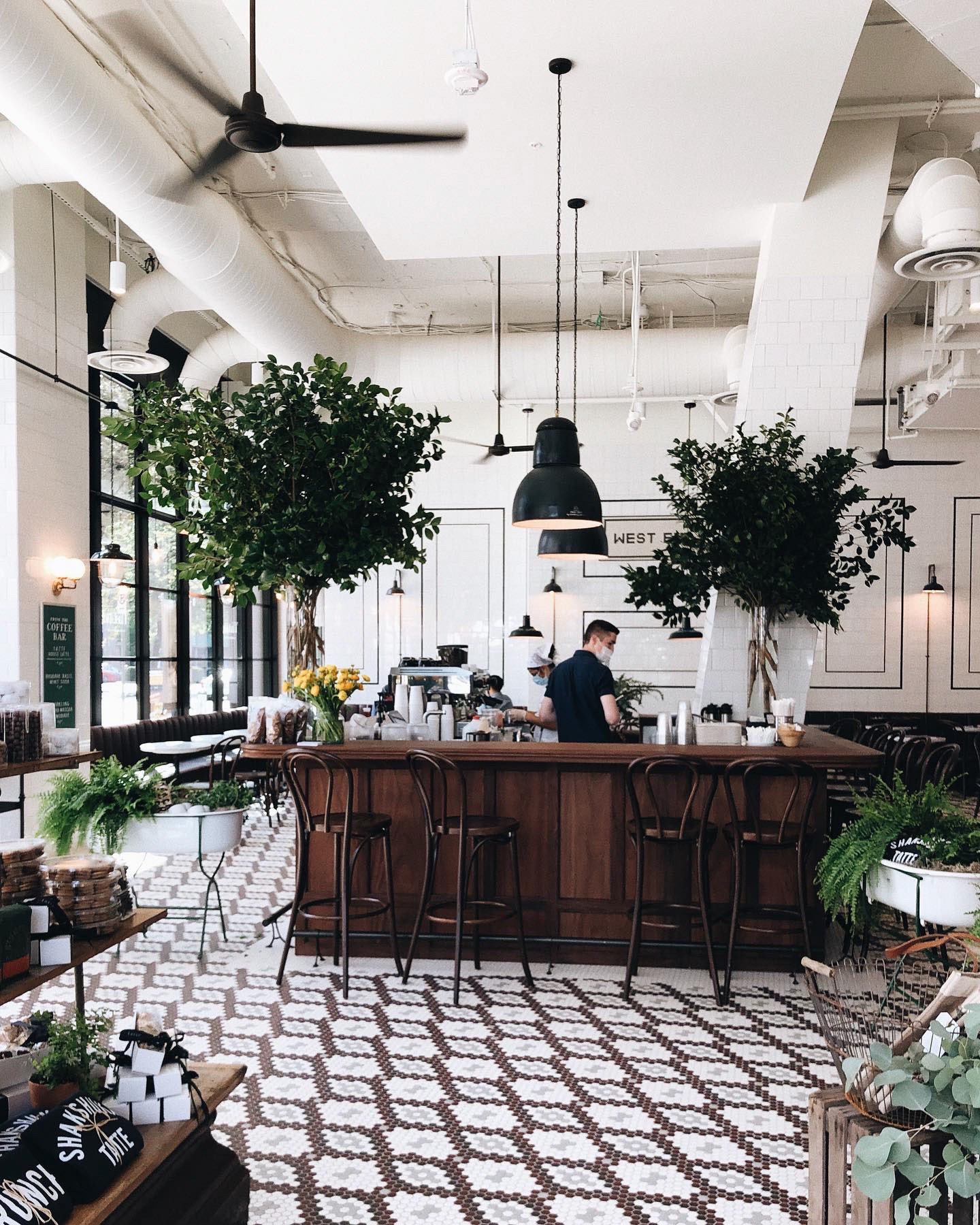 tatte bakery