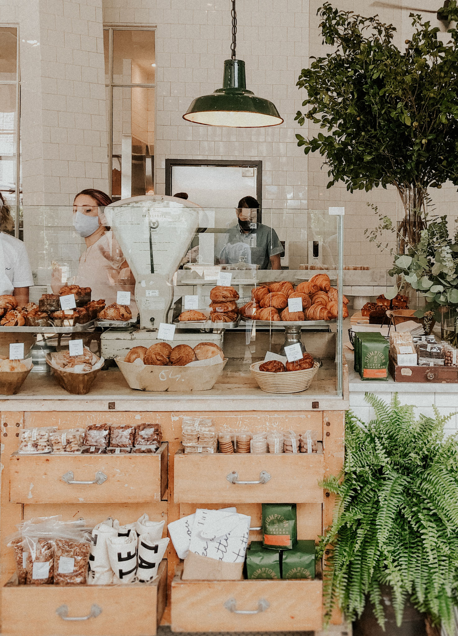 tatte bakery