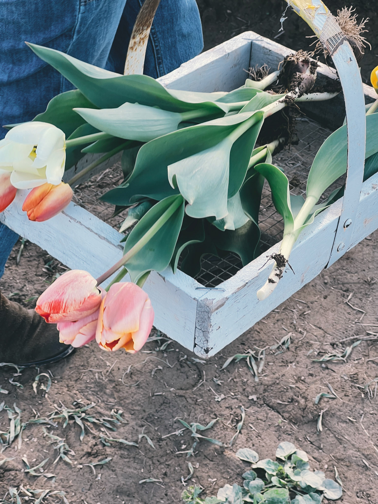 Processed with VSCO with e5 preset