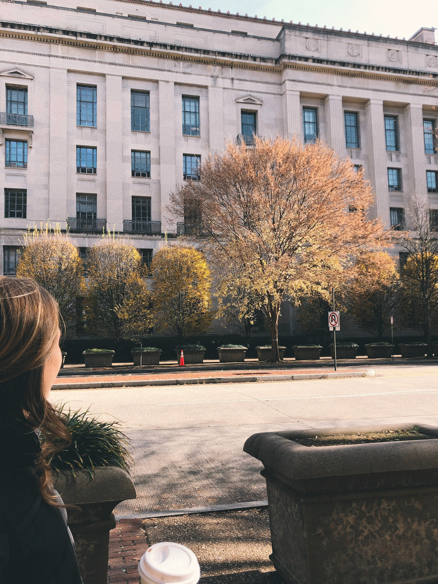 winter walks | Washington, dc