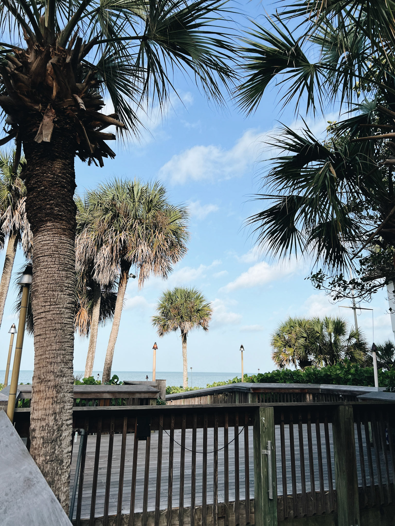 Processed with VSCO with a6 preset