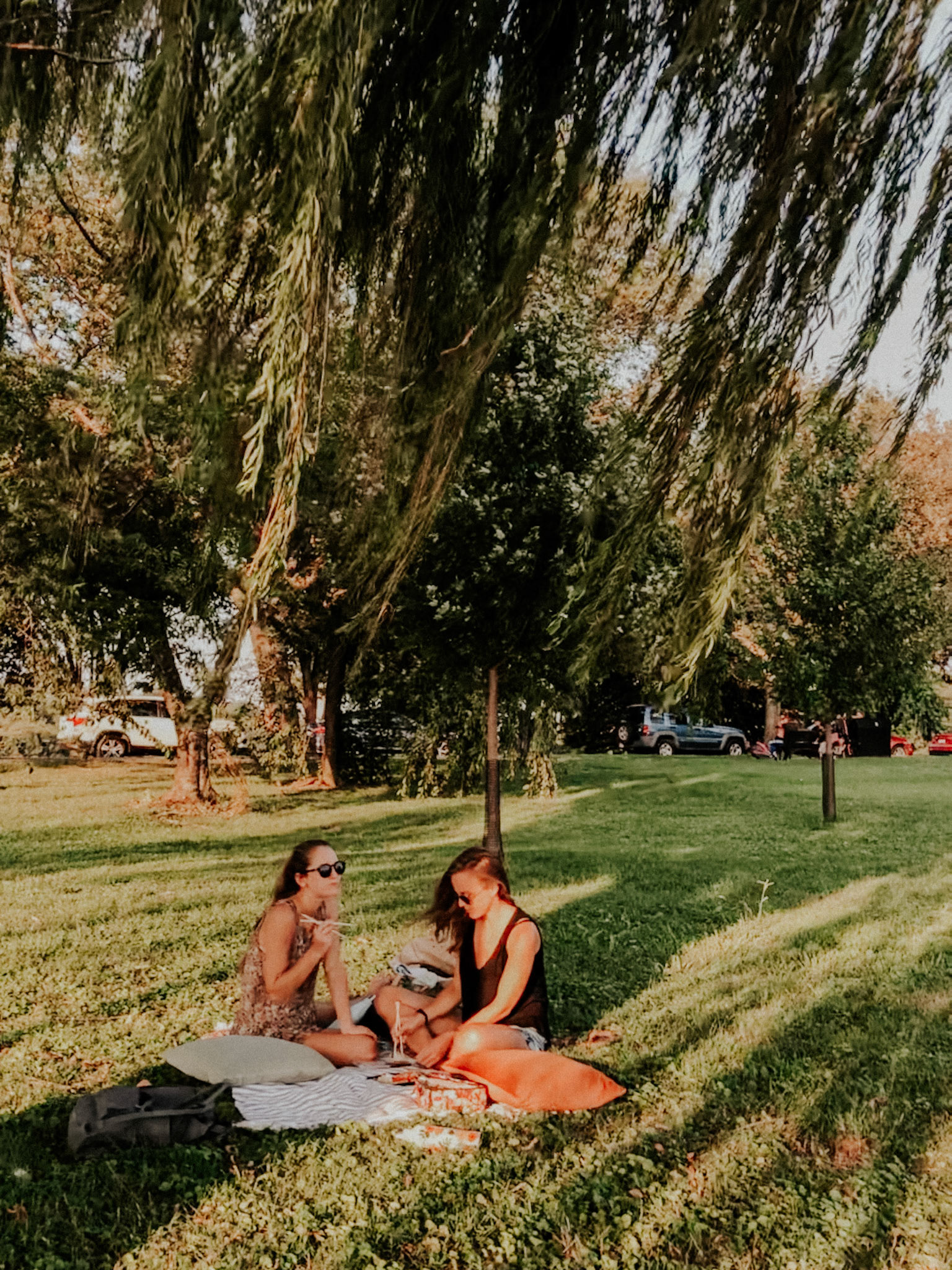 best picnic spot in the district. ask me for a pin.
