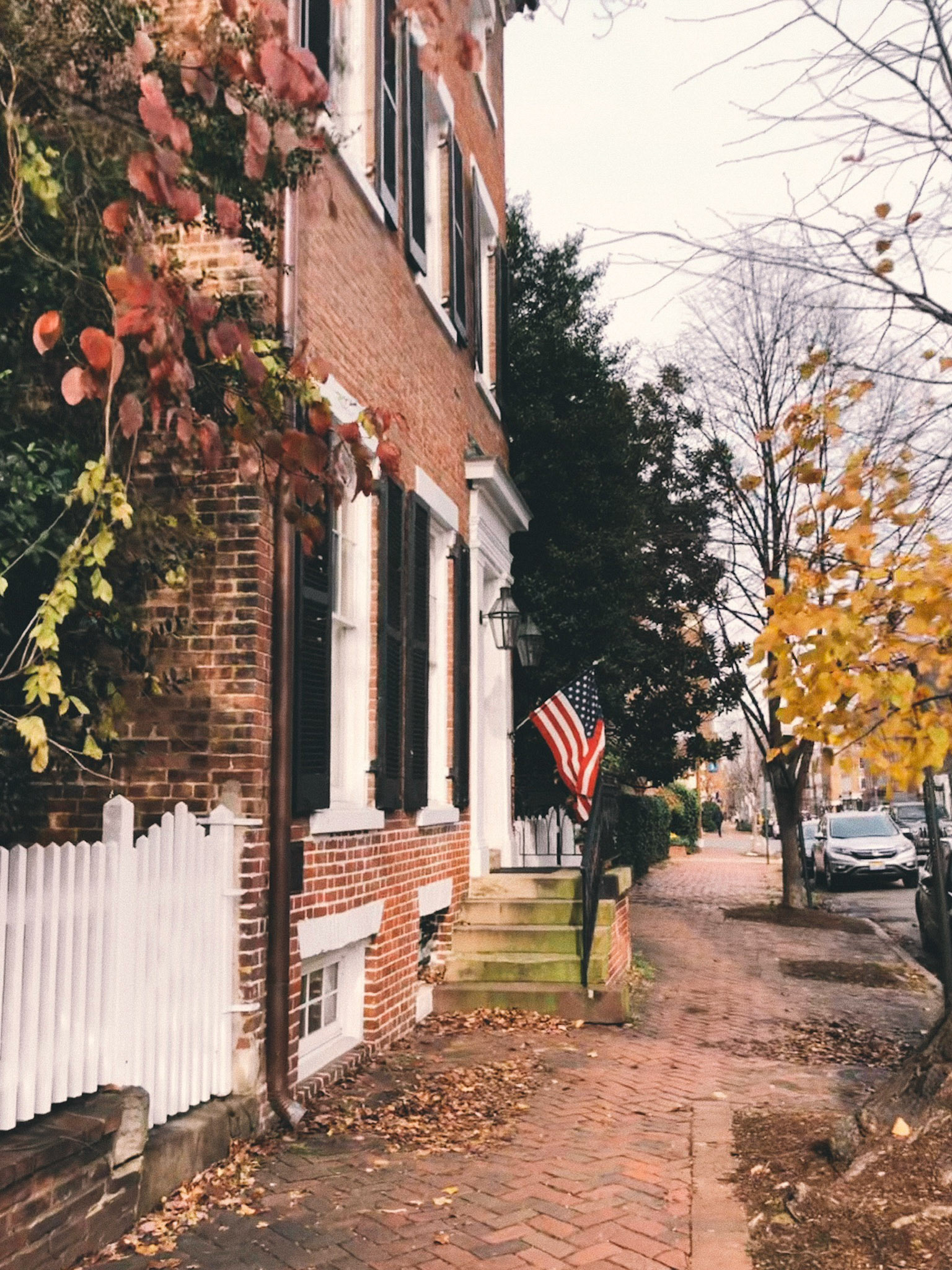 old town | Alexandria, va