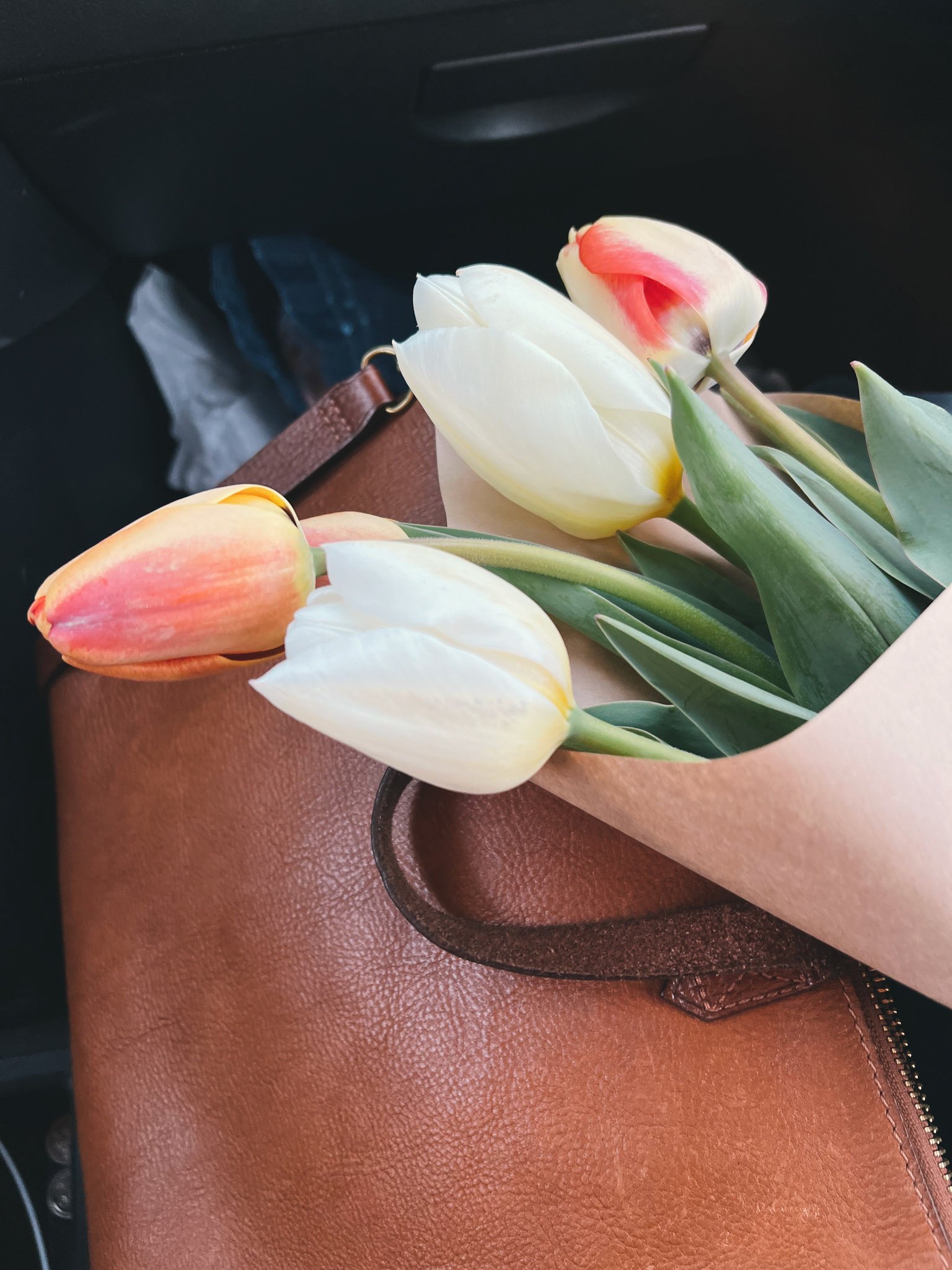 Processed with VSCO with e5 preset