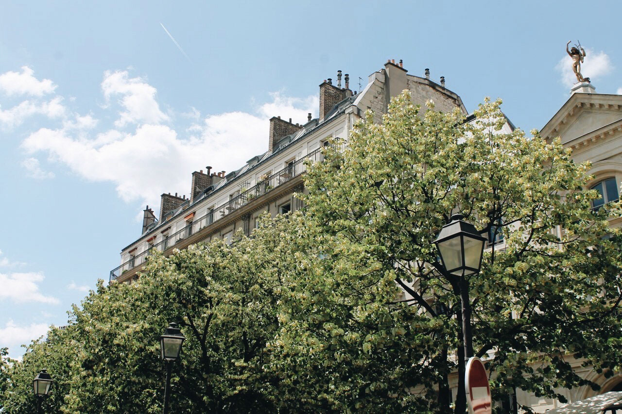 near the champs elysees