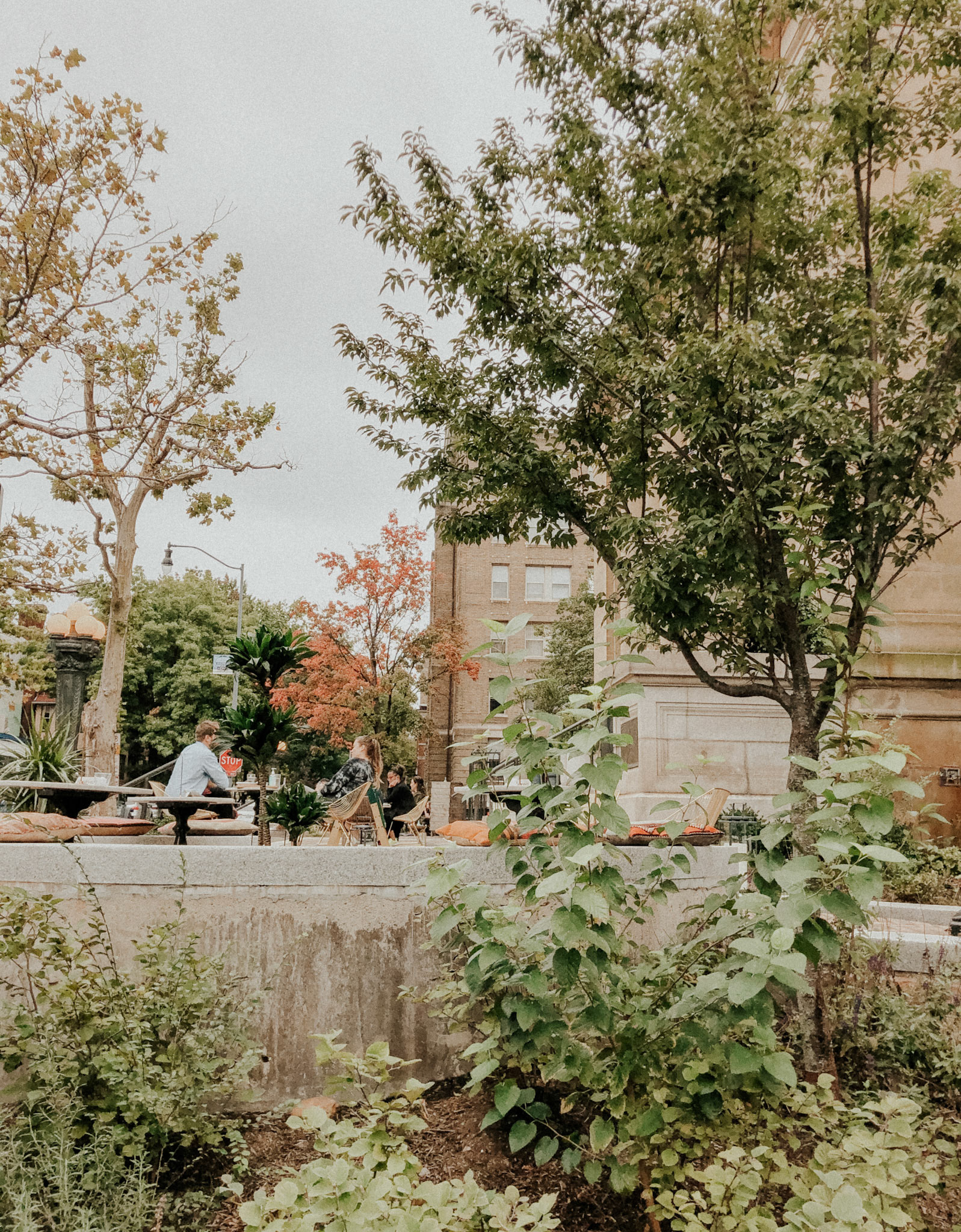 Adams Morgan
