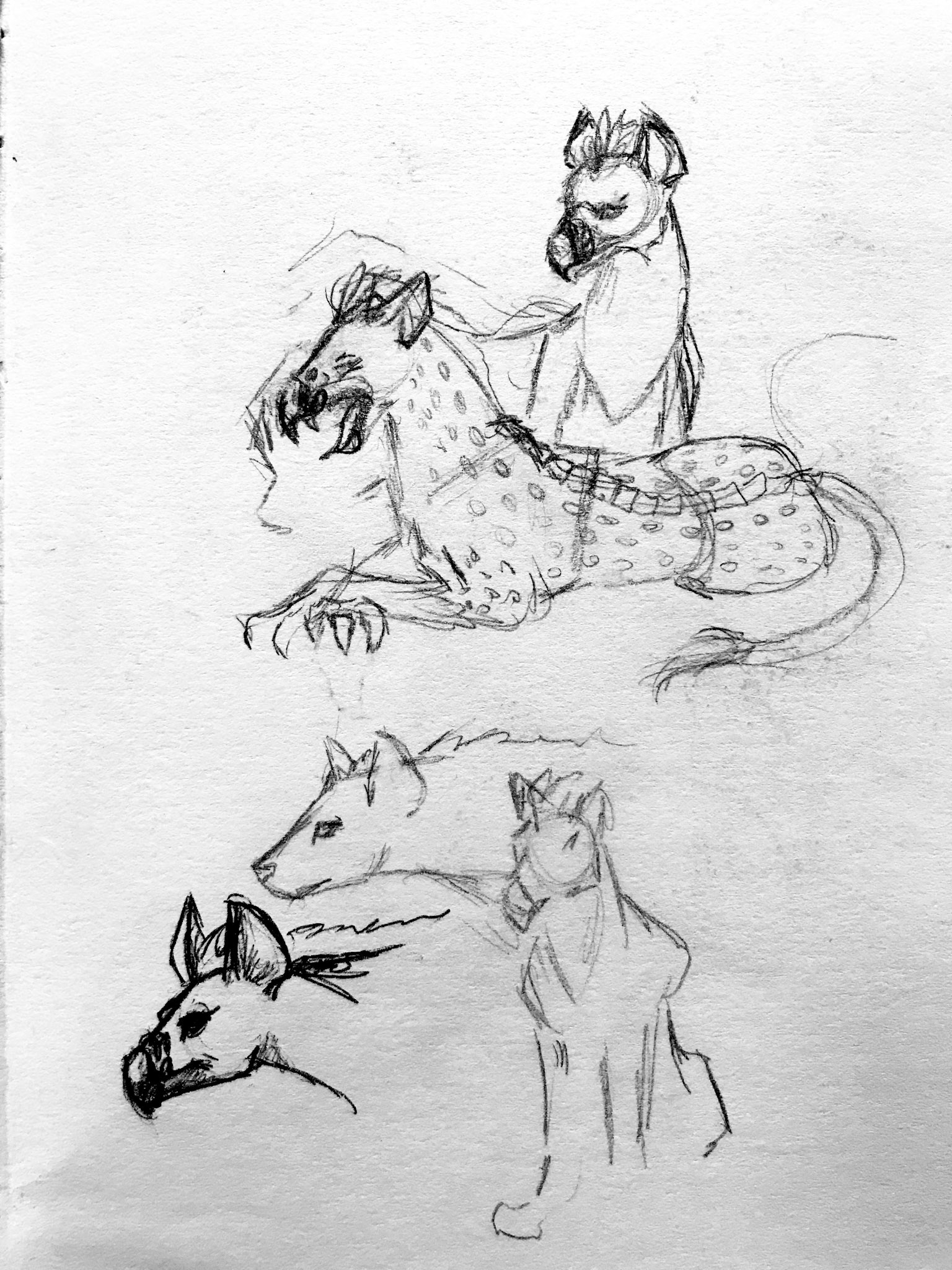 Second Concept Sketch
