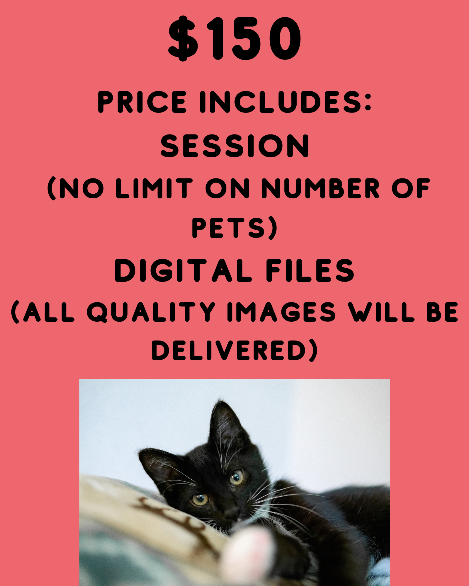 Maggie Jacques Session Cost