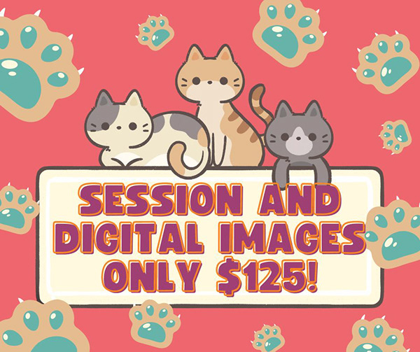 atomic-pet-photography-session-cost