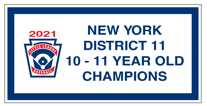 Baseball Champions Banner