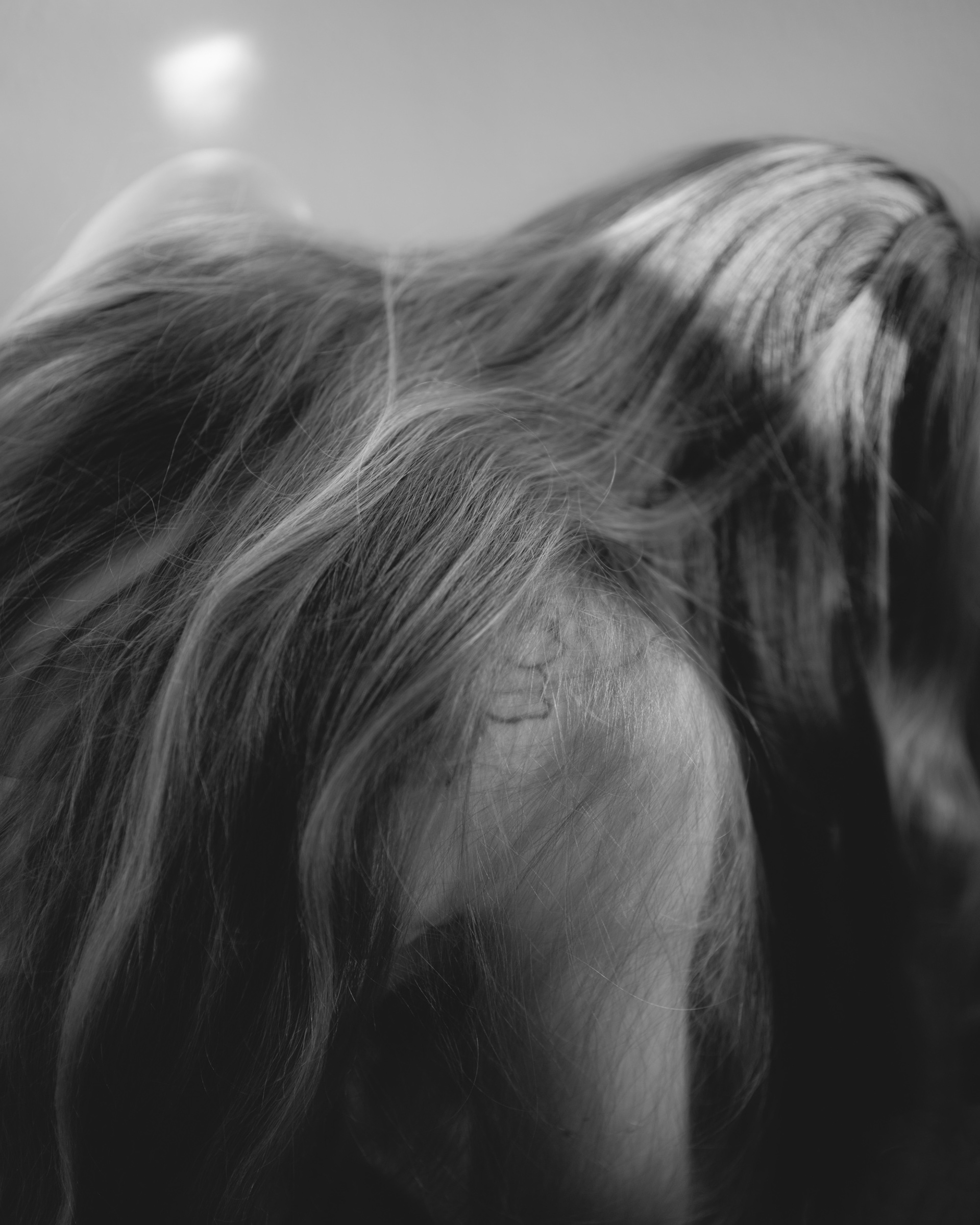 from 'The Heron's Tear Sinks Into The Blue'