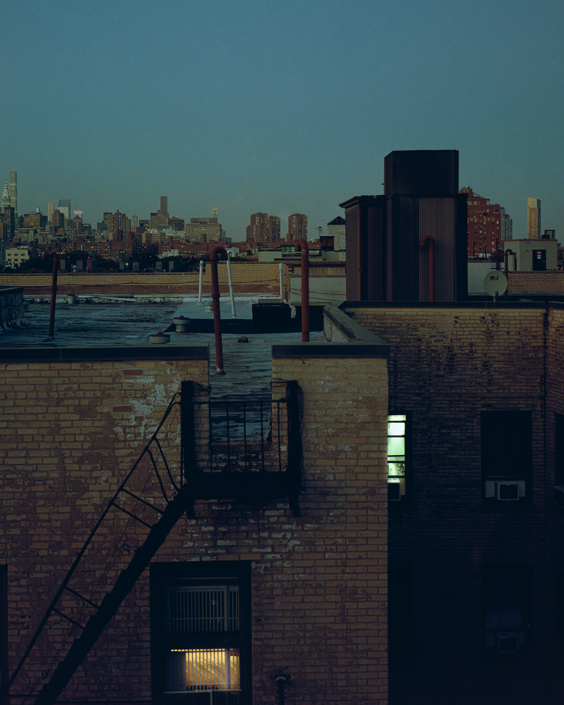 isolated view from 'The Flower Only Dreams In Total Darkness' BA project