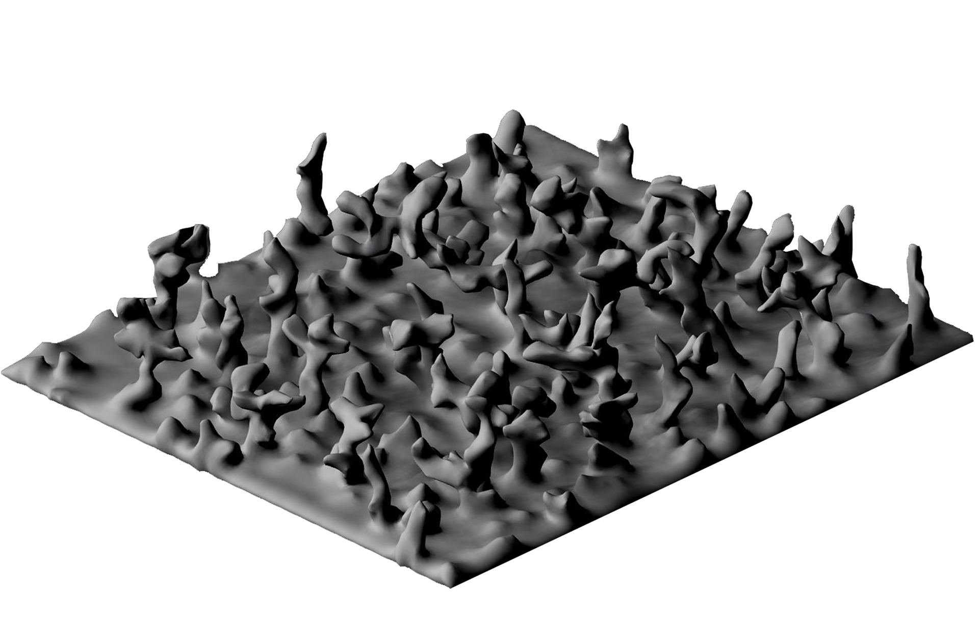 Vertical Accretion Study - 2