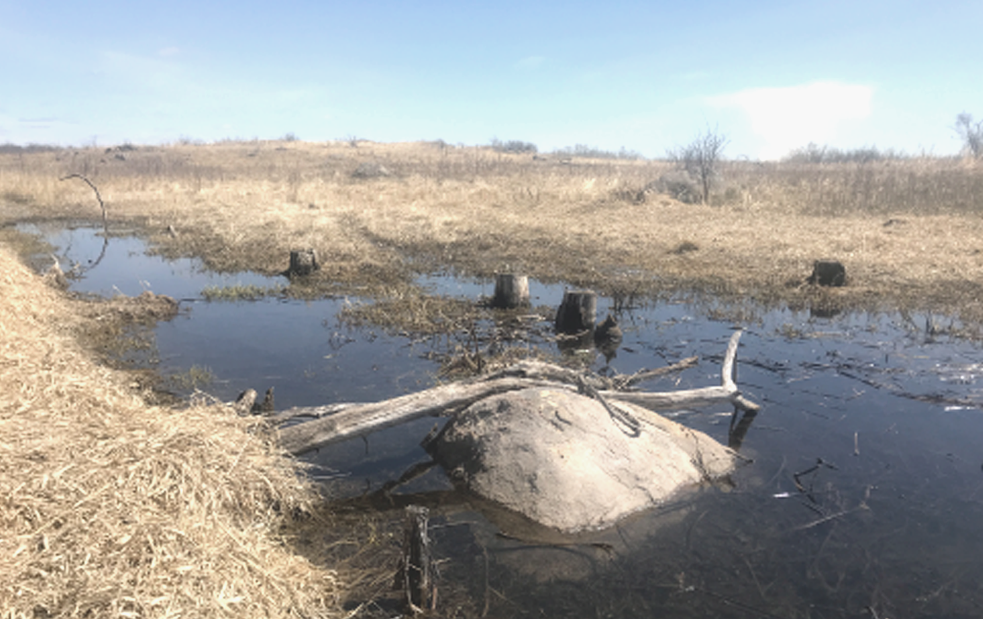 Site Study: Accretion Observations